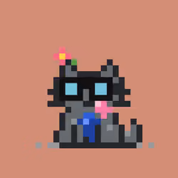 Robinhood Kitty #2152