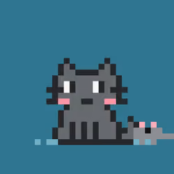 Robinhood Kitty #2168