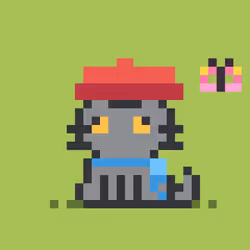 Robinhood Kitty #2041