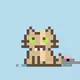 Robinhood Kitty #1129