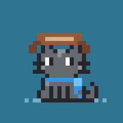 Robinhood Kitty #2151