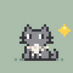 Robinhood Kitty #2010