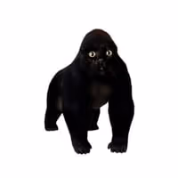APECAT