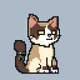 Sigma Cat #85