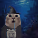 Greedycats #1838