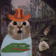 Greedycats #4871