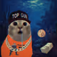 4983