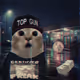 Greedycats #6503