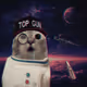 4806