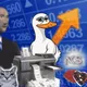 Cash Duck #Pre-reveal