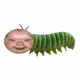 BABY CATERPILLAR