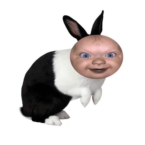 BABY RABBIT