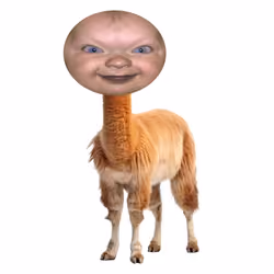 BABY LLAMA