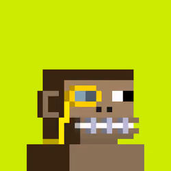 Robinhood Chimps #9737