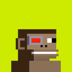 Robinhood Chimps #4960