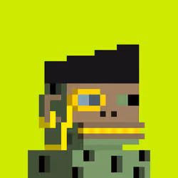 Robinhood Chimps #4116