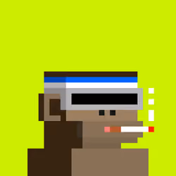 Robinhood Chimps #6616
