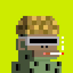 Robinhood Chimps #8896