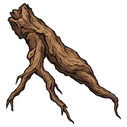Dried Root