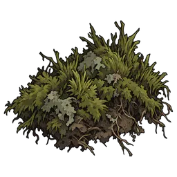 Grave Moss