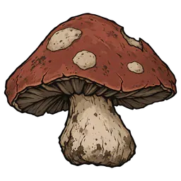 Rot Fungus