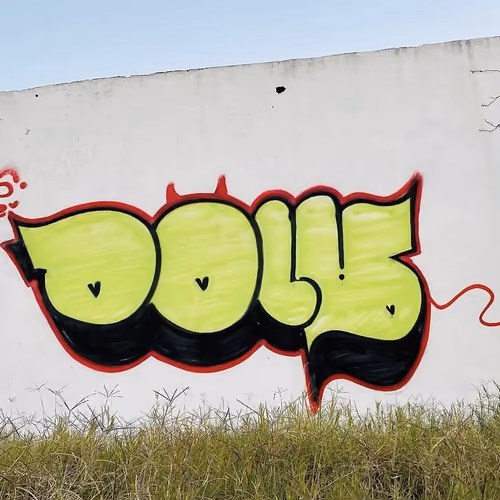 DOLIS HOOD