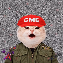 1064