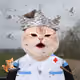 4273