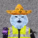 3156