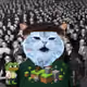 4443
