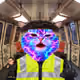 4272