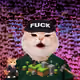 4428