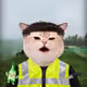 4431