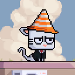 8255