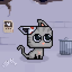 3428