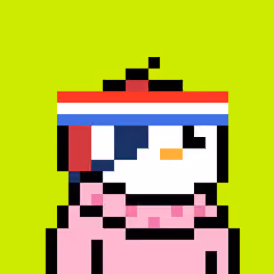 Robinhood Penguins #1030