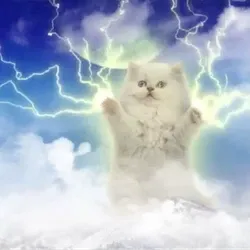 ZEUS