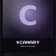 Rehearsal Canary