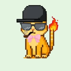 Cattyhood #162
