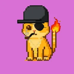 Cattyhood #890