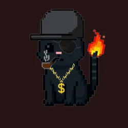 Cattyhood #3204