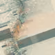 Imprint #0454