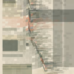 81