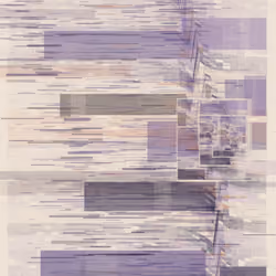 567