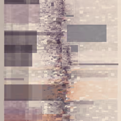 339