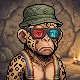 Rebel Ape #229