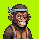 Rebel Ape #1295