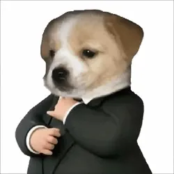 BUSINESS