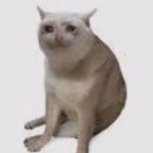 CASHCAT