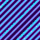 FreqBit #3810